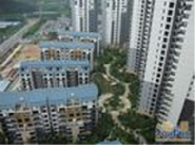東莞珠佳房地產 專業房地產代理服務，助力投資與登記無憂